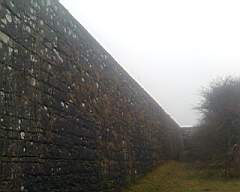 shannonbridge cap-1189.jpg